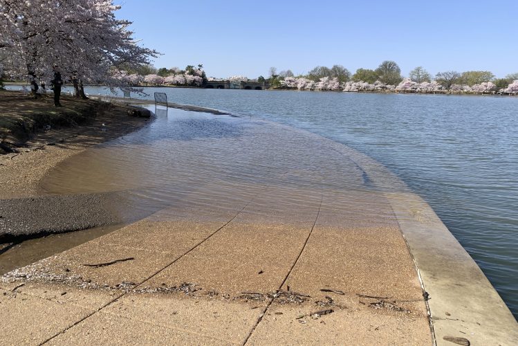 Sees Rising U.S. could see a century’s worth of sea rise in just 30 years | News ...